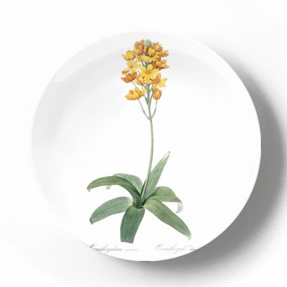 Декоративная тарелка Пьер Жозеф Редуте Орнитогалум