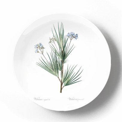 Декоративная тарелка Пьер Жозеф Редуте Витсения Коримбоза