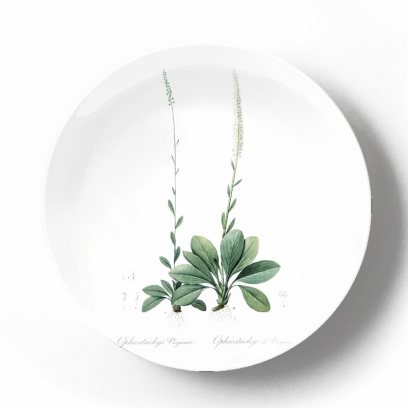 Декоративная тарелка Пьер Жозеф Редуте Хамелириум