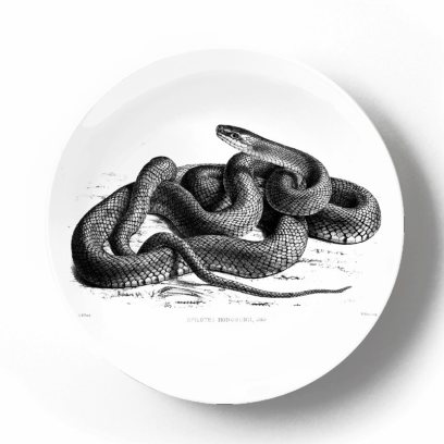 Декоративная тарелка Карл Густав Ямаргт Желтобрюхая шипящая змея