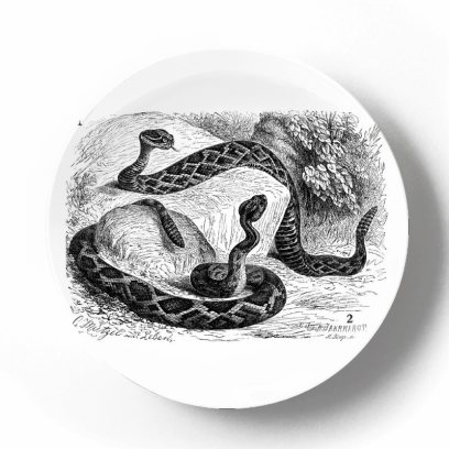 Декоративная тарелка Карл Густав Ямаргт Ромбический гремунчик