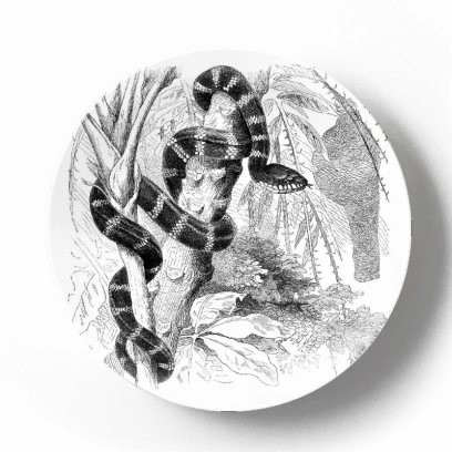 Декоративная тарелка Карл Густав Ямаргт Мангровая змея