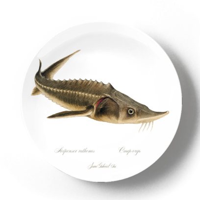 Декоративная тарелка Жан Габриэль Ги Стерлядь